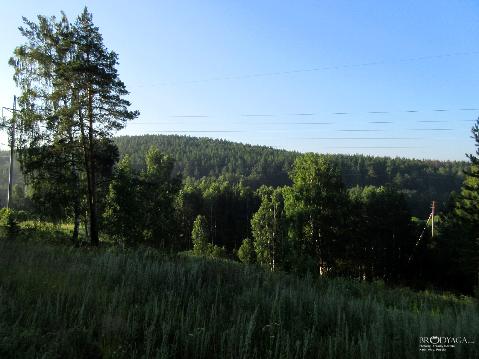 Kadnikovo (Кадниково)